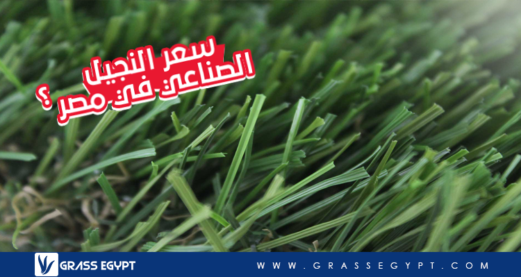 اسعار النجيل الصناعى فى مصر 2019 Grassegypt